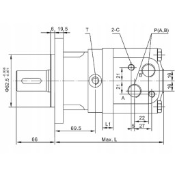 SMS orbitinis variklis 315 cm3 gopart