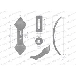 Ražienų kultivatoriaus Warynski širdies noragas