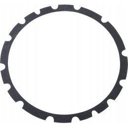 Galinės reduktoriaus sandariklis tinka C 385