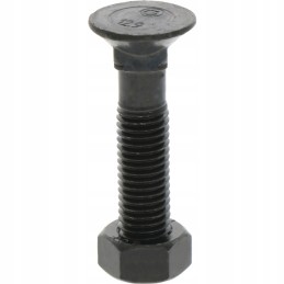 Sraigtas su veržle M12x1 75x55 mm 12 9x25 vnt.