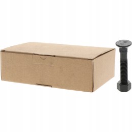 Sraigtas su veržle M12x1 75x55 mm 12 9x25 vnt.