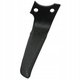 Dešinysis akėčių dantis rh prg 04