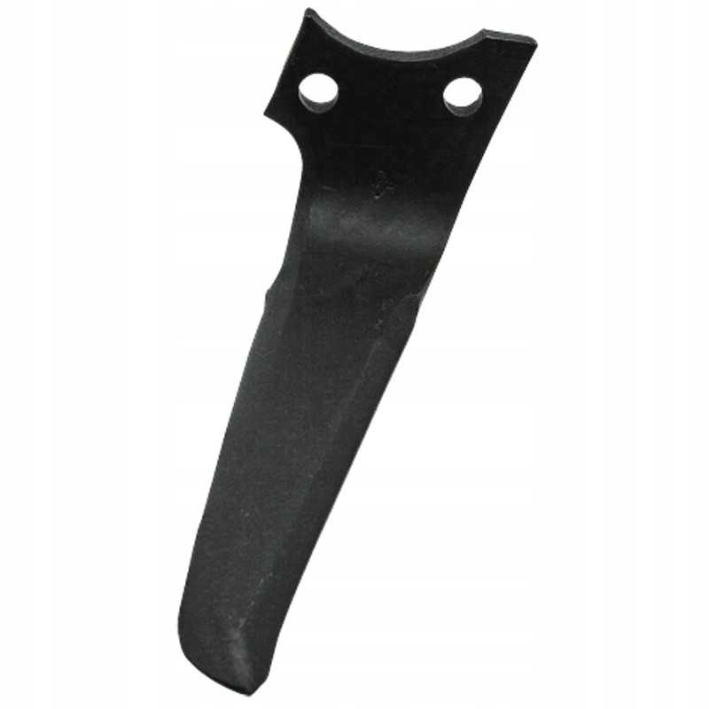 Dešinysis akėčių dantis rh prg 04