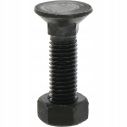 Sraigtas su veržle M12x1 75x45 mm 12 9x25 vnt.