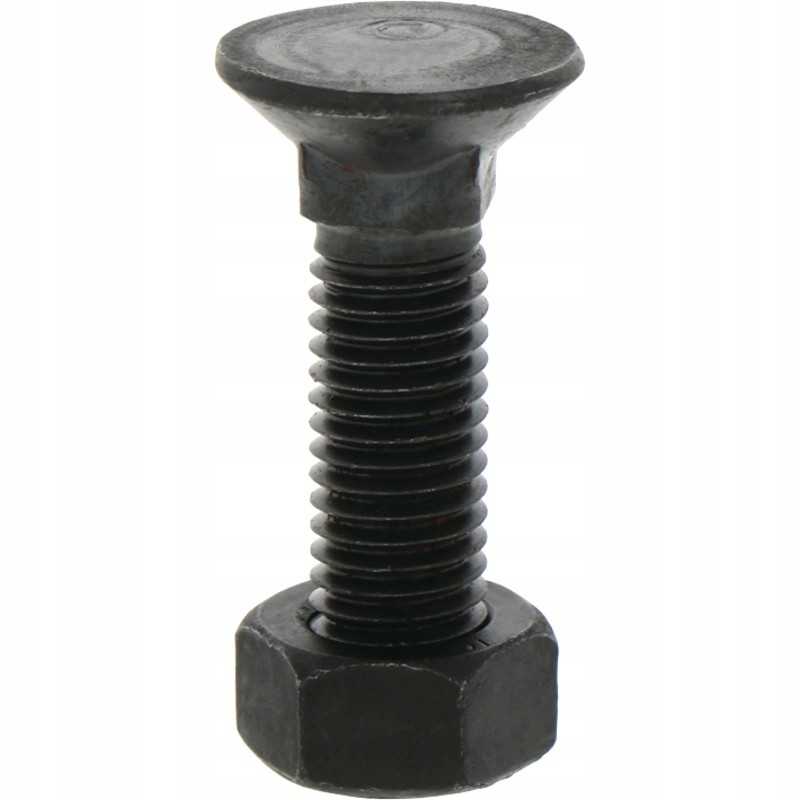 Sraigtas su veržle M12x1 75x45 mm 12 9x25 vnt.