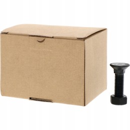 Sraigtas su veržle M12x1 75x45 mm 12 9x25 vnt.