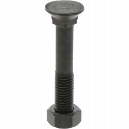 Sraigtas su veržle M12x1 75x75 mm 12 9x25 vnt.