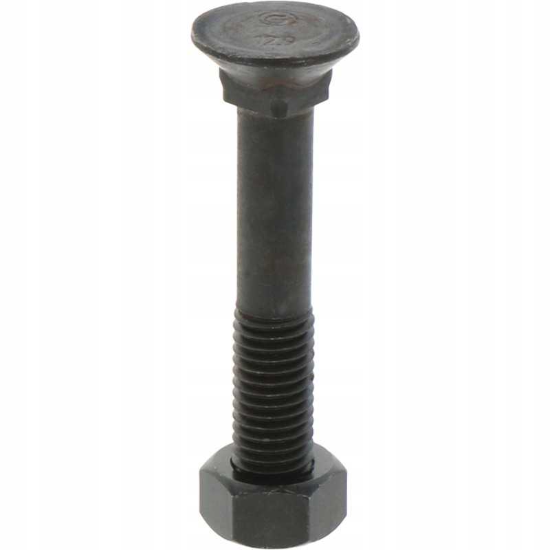 Sraigtas su veržle M12x1 75x75 mm 12 9x25 vnt.