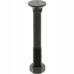 Sraigtas su veržle M12x1 75x95 mm 12 9x25 vnt.