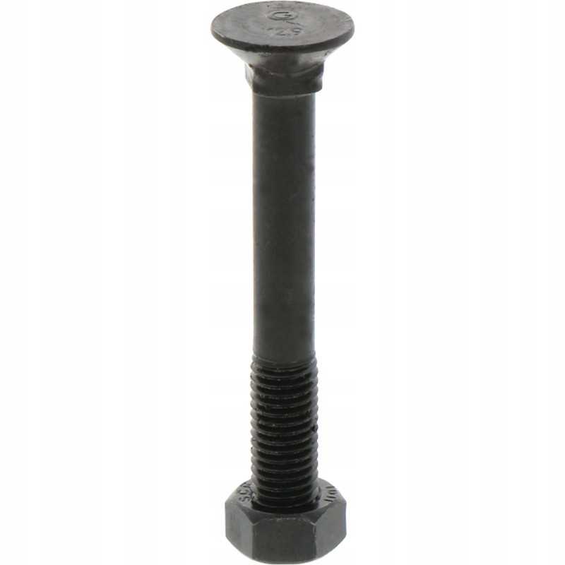 Sraigtas su veržle M12x1 75x95 mm 12 9x25 vnt.