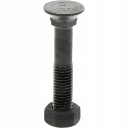 Sraigtas su veržle M12x1 75x95 mm 12 9x25 vnt.