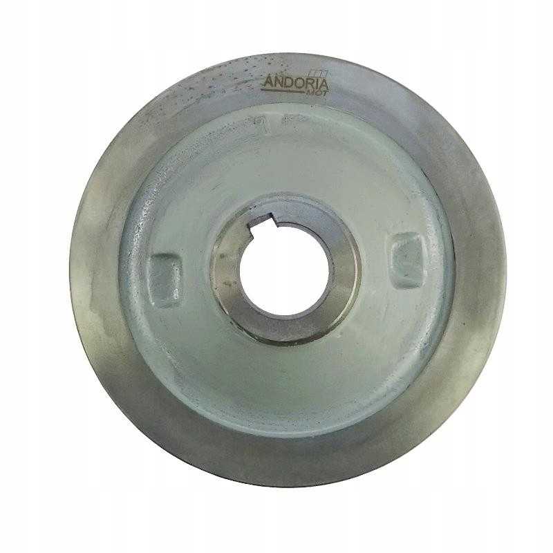 Variklio skriemulys ant alkūninio veleno su sandarikliu