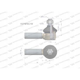 Vairo šarnyras 7 8 1537872c1 Warynski