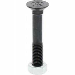 Sraigtas su veržle m12x1 75x75 mm 10 9x25 vnt.