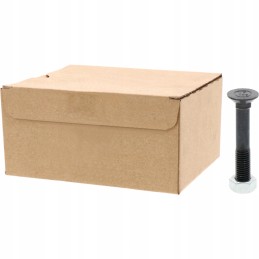 Sraigtas su veržle m12x1 75x75 mm 10 9x25 vnt.