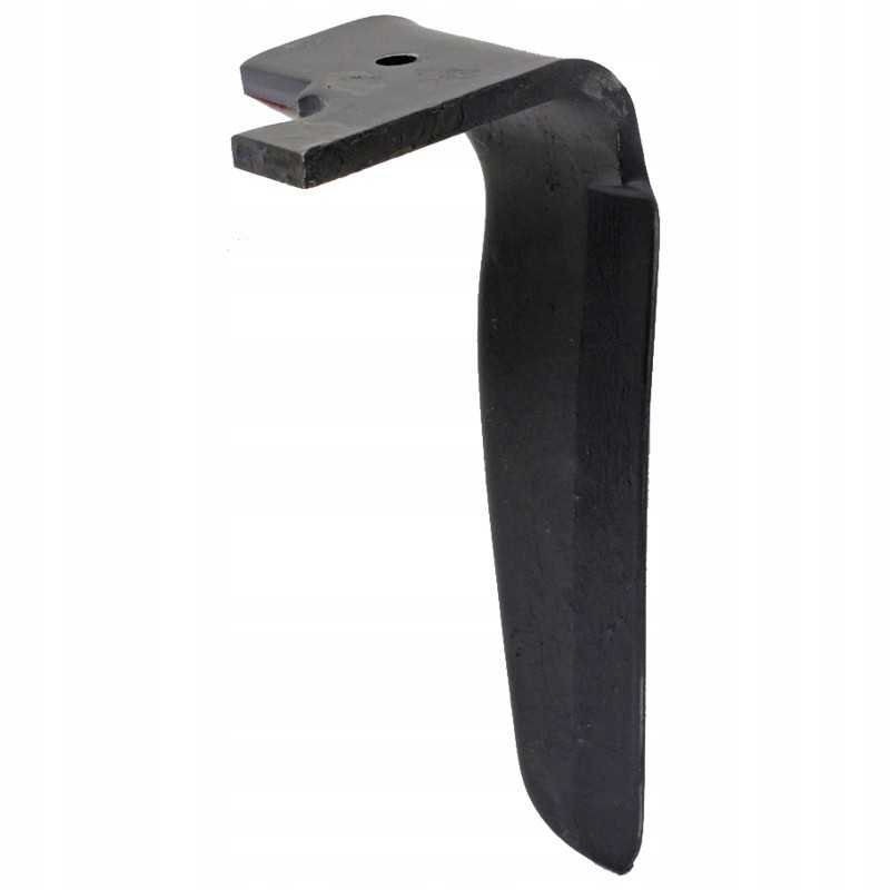 Dešinysis akėčių dantis rh frb 05r