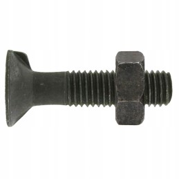 Sraigtas su veržle M12x1 75x45 mm 10 9x25 vnt.