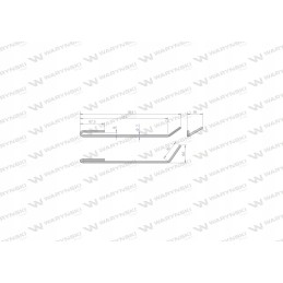 Pirštu gaudo trumpą kairę Amazone Warynski