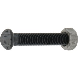 Sraigtas su veržle m12x1 75x70 mm 8 8