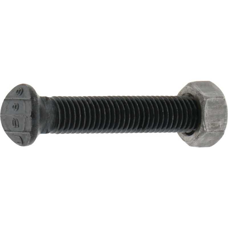 Sraigtas su veržle m12x1 75x70 mm 8 8