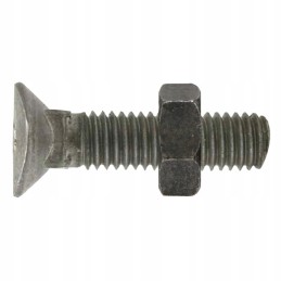 Sraigtas su veržle m12x1 75x60 mm 10 9x25 vnt.