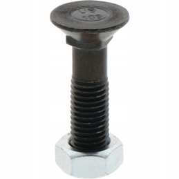 Sraigtas su veržle M14x2x60 10 9 din 608