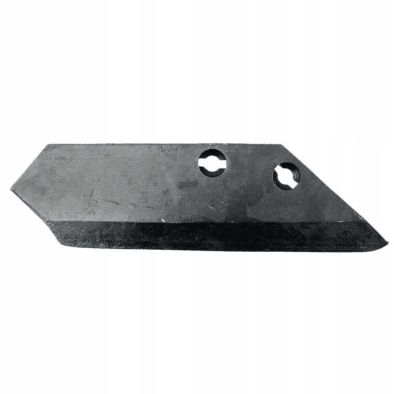 Dešinysis sparnas noragas 101 lan 02