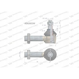 Vairo jungtis 3 4 k262853 Warynski