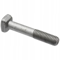 Varžtas su nykščiu 704901933 Koeckerling