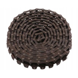 Seno tipo išleidimo grandinės taikymas Anna Warynsk