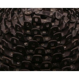 Seno tipo išleidimo grandinės taikymas Anna Warynsk