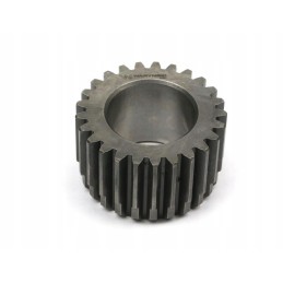 Centrinis sukimo momento daugiklio C 385 Warynski ratas