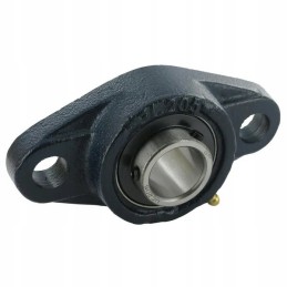 Sukomplektuotas guolis su 2 skylių korpusu