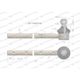 Vairo šarnyras 881736m91 Warynski