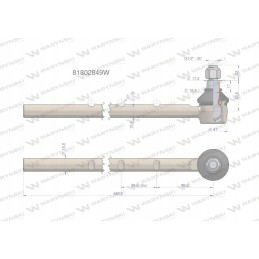 Vairo šarnyras 81802849 Warynski