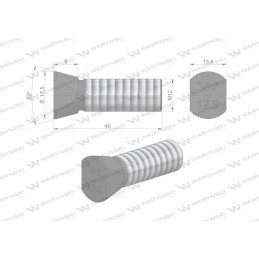 Varžtų komplektas, ovalus, išpjautas iš abiejų pusių, M12x40