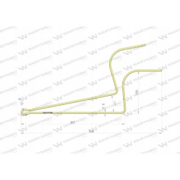 Lankstus pirštas PZK Warynski
