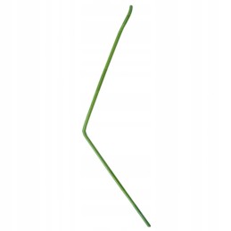 Dešinysis sėjamosios noragas, ilgas II, amazo