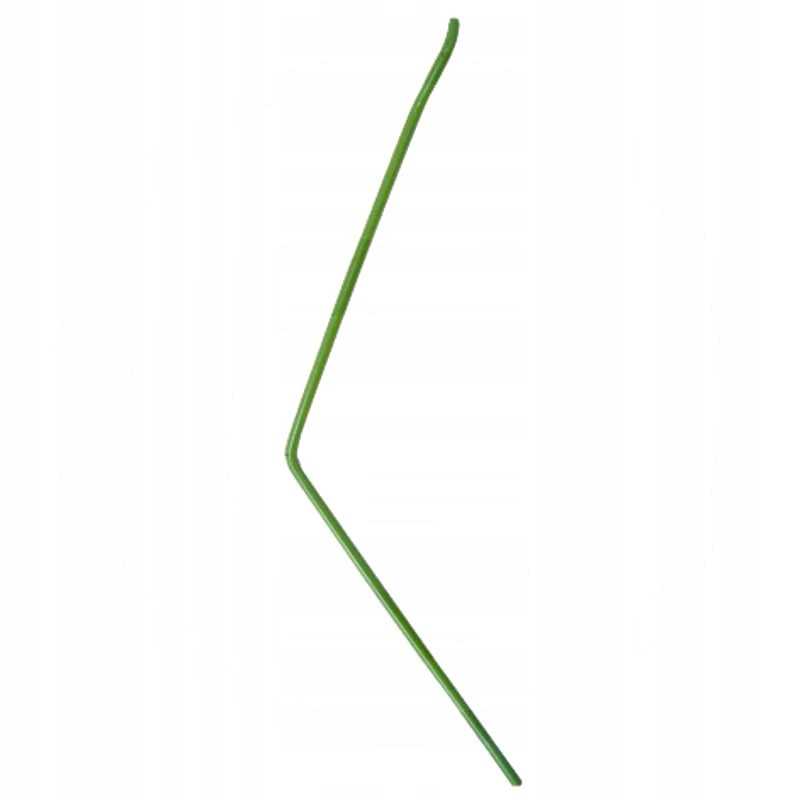 Dešinysis sėjamosios noragas, ilgas II, amazo