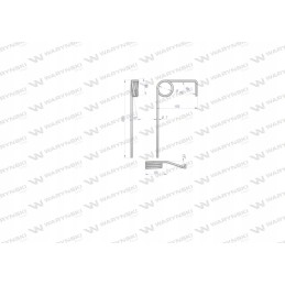 Galinis grandiklio pirštas Amazon 3409200 Warynski