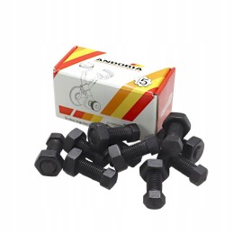 Sankabos reguliavimo varžtas su veržle 950303 c 385