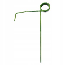 Amazon sėjamosios noragai 3408200