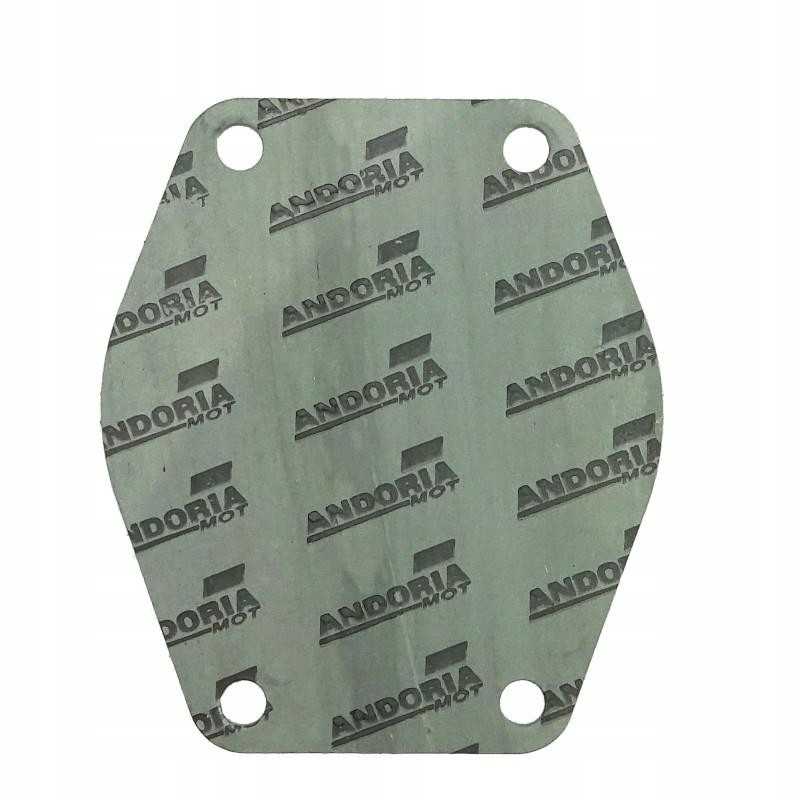 Vandens siurblio cilindro bloko tarpinė 0 8mm mf3