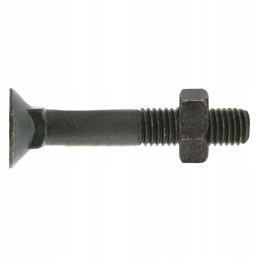 Sraigtas su veržle m12x1 25x40 mm 8 8