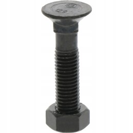 Sraigtas su veržle M12x1 75x55 mm 12 9x25 vnt.