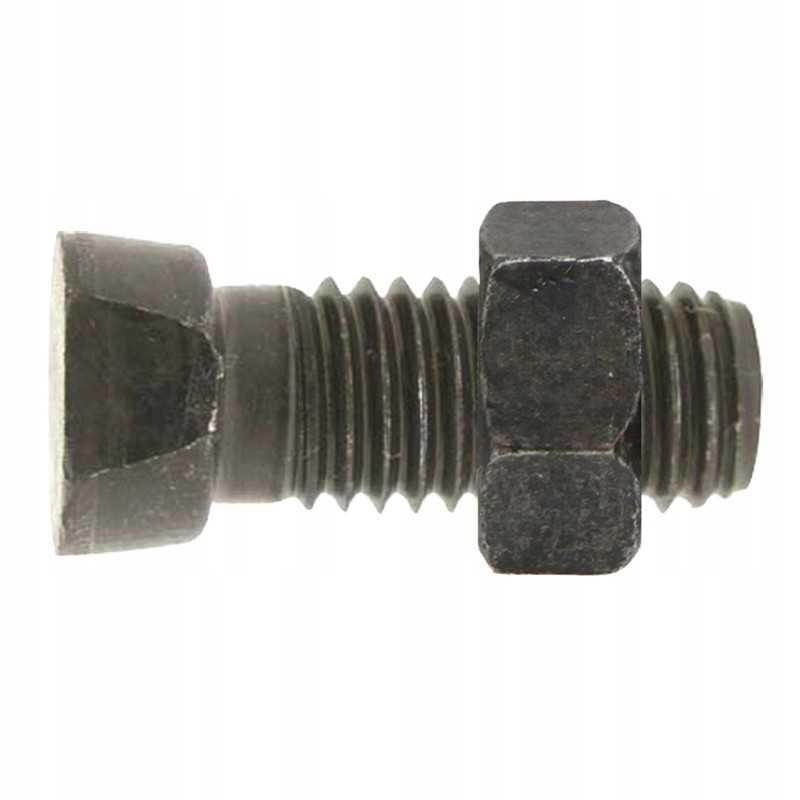 Sraigtas su veržle m14x2x39 mm 12 9 x25 vnt