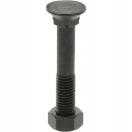 Sraigtas su veržle M12x1 75x75 mm 12 9x25 vnt.