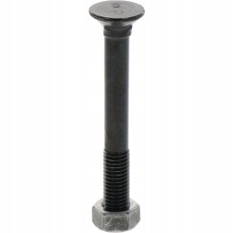 Sraigtas su veržle m12x1 75x100 mm x25 vnt
