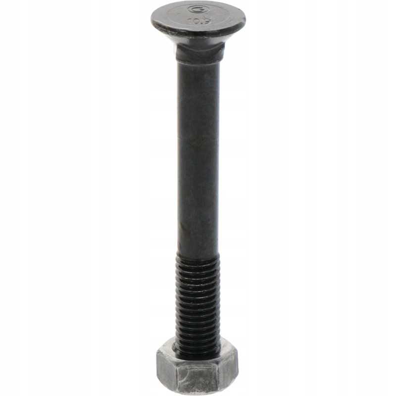 Sraigtas su veržle m12x1 75x100 mm x25 vnt