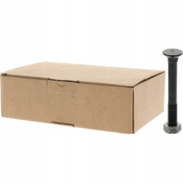 Sraigtas su veržle m12x1 75x100 mm x25 vnt